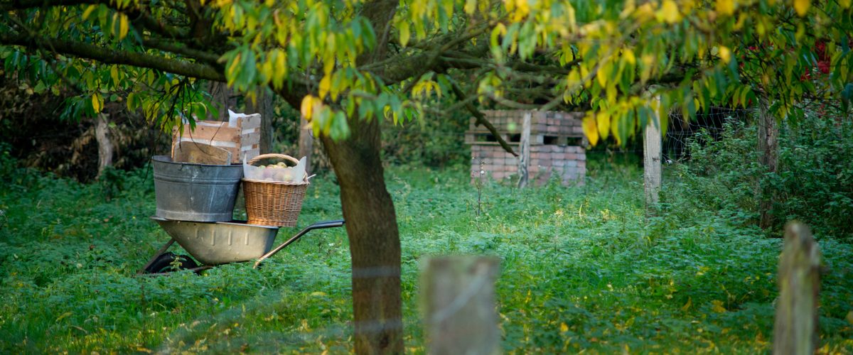 Garten